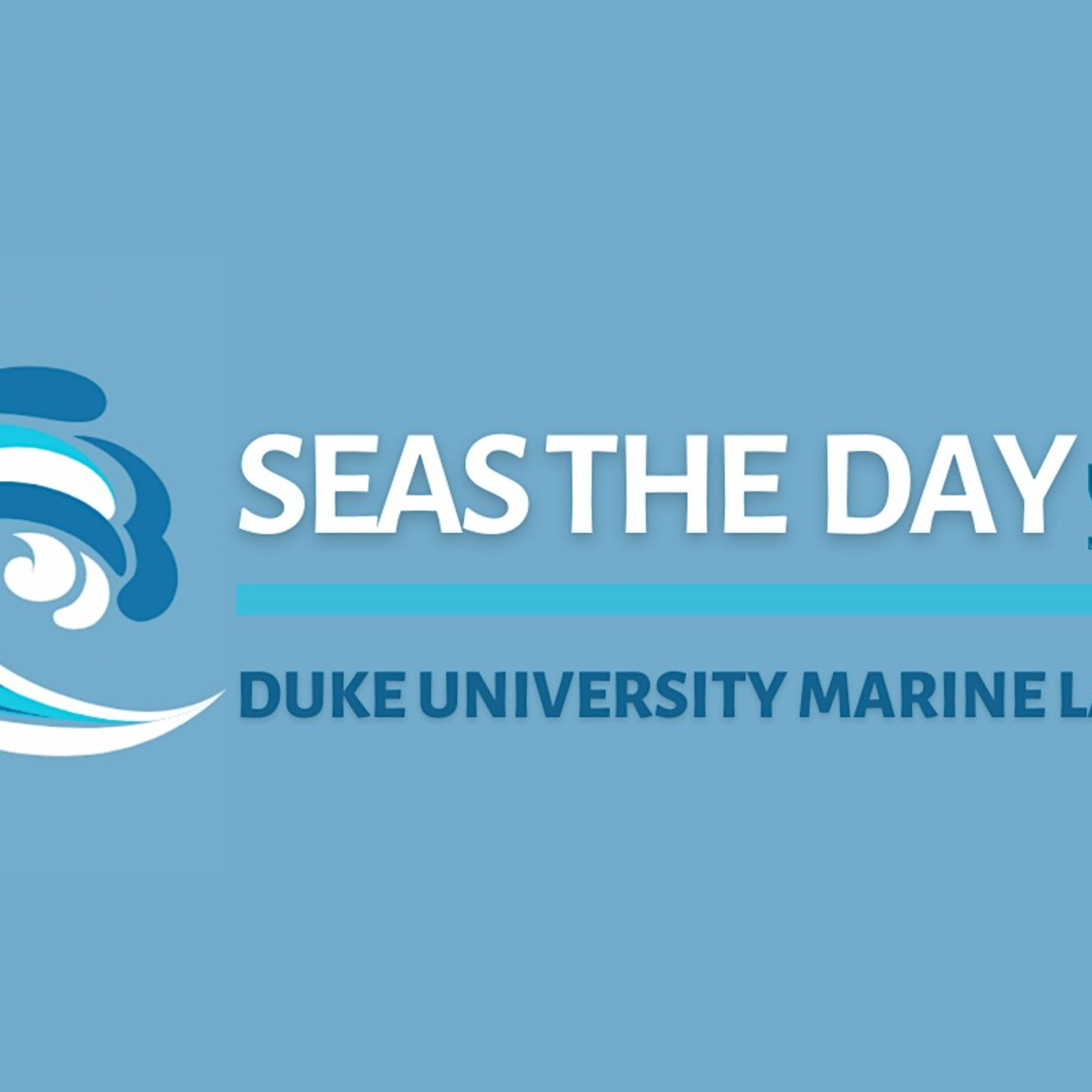Seas The Day