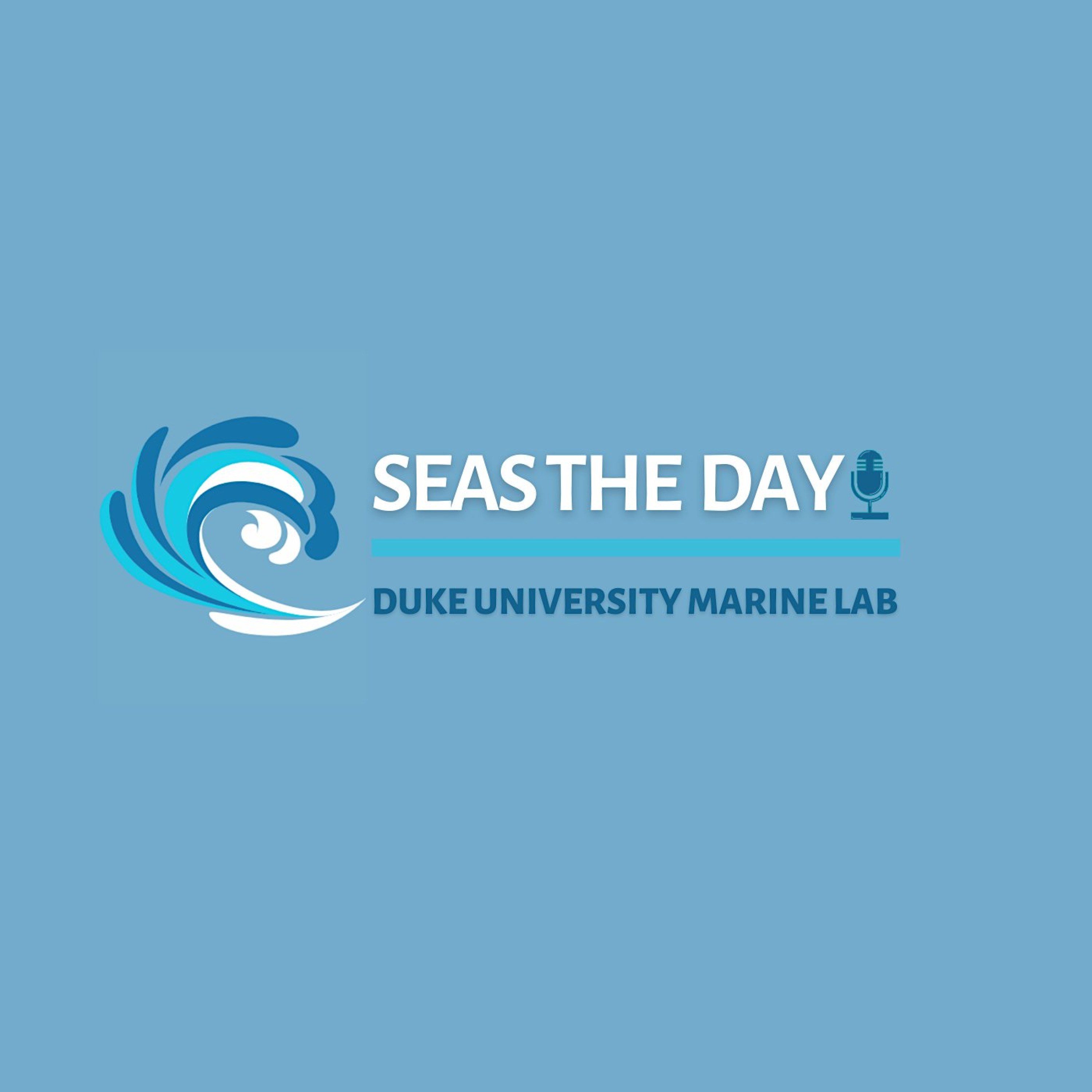 Seas The Day
