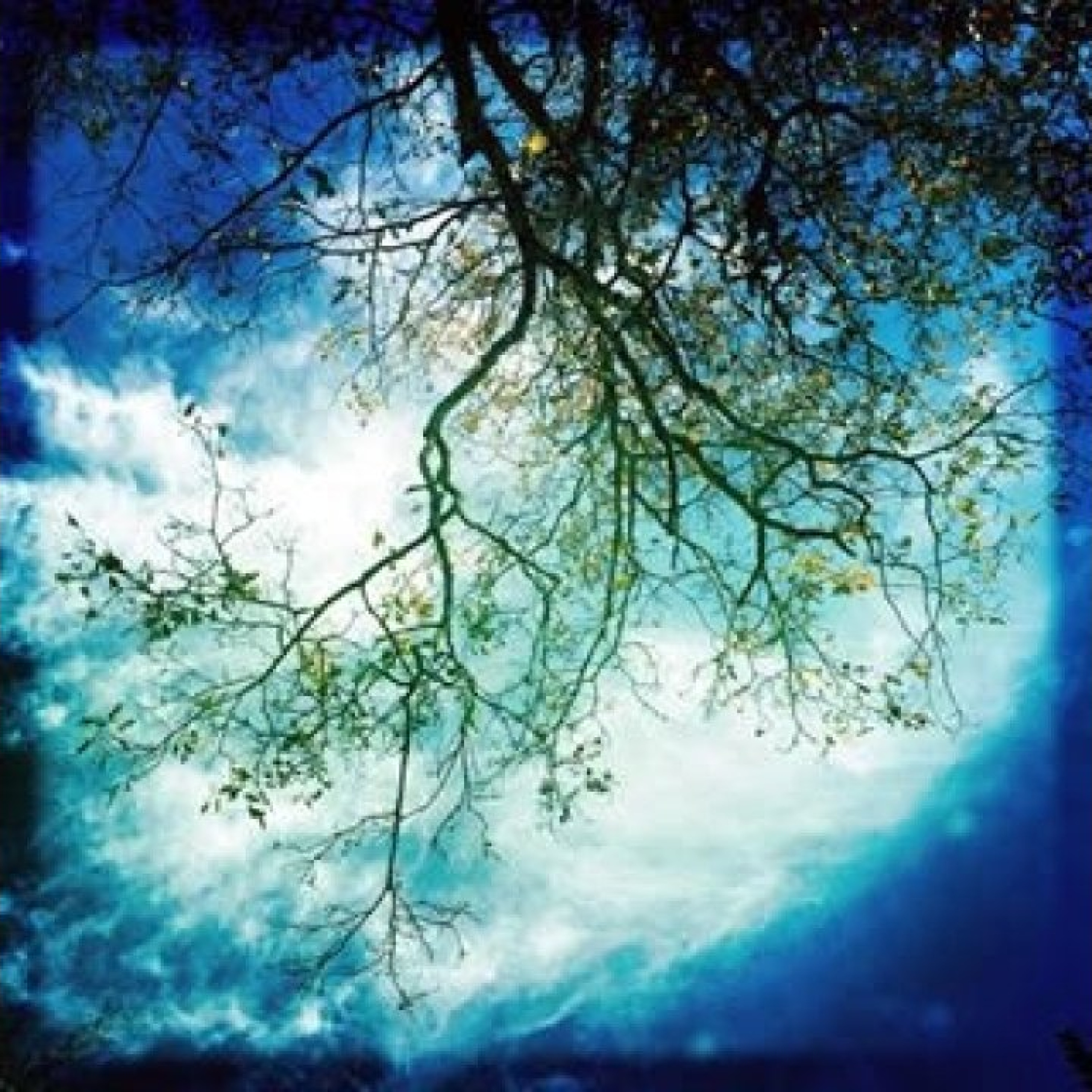 Conspiracy-of-Consciousness.mp3 Conspiracy-of-Consciousness.mp3